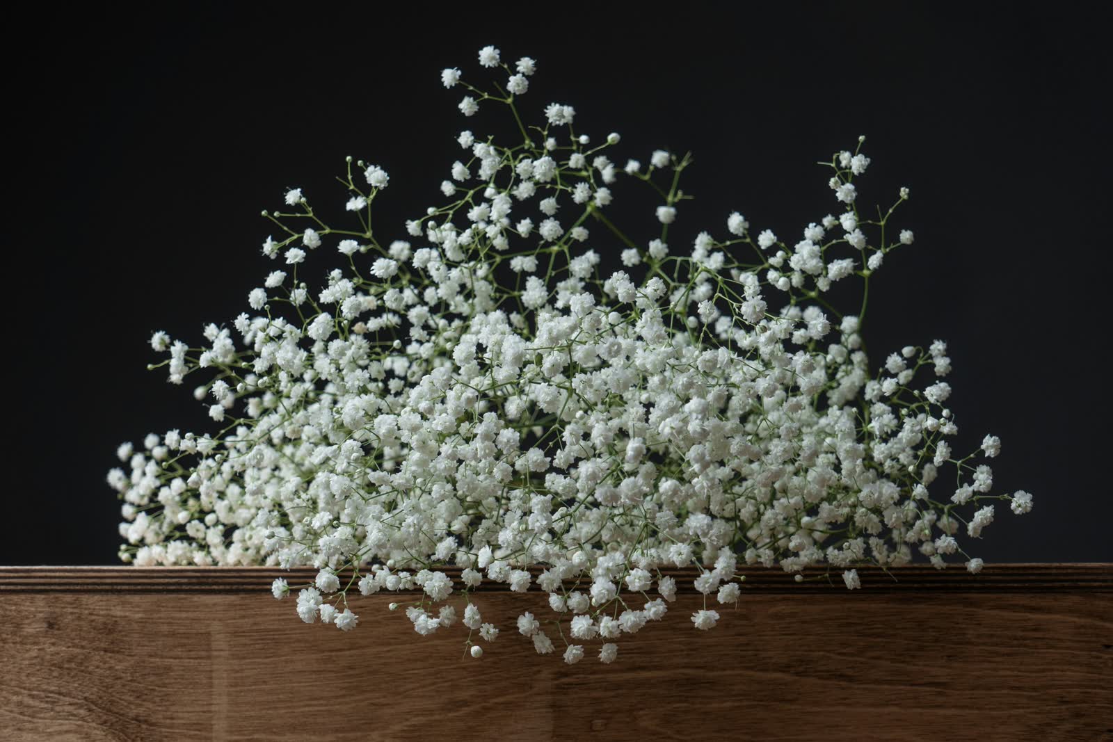 Baby's Breath for sale at NYC Flower House, photographed in the shop.