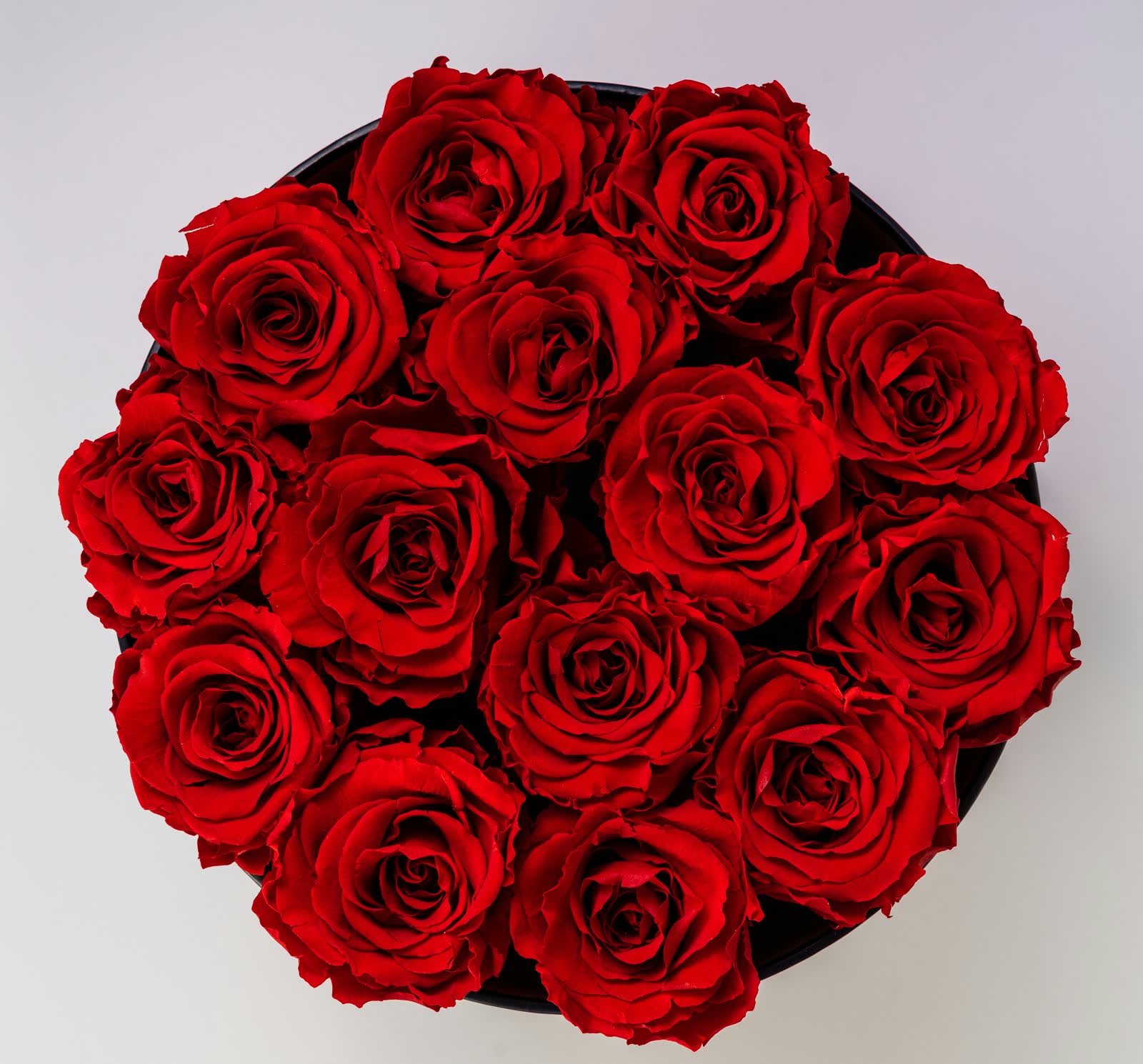 Roses for sale at NYC Flower House, photographed in the shop.