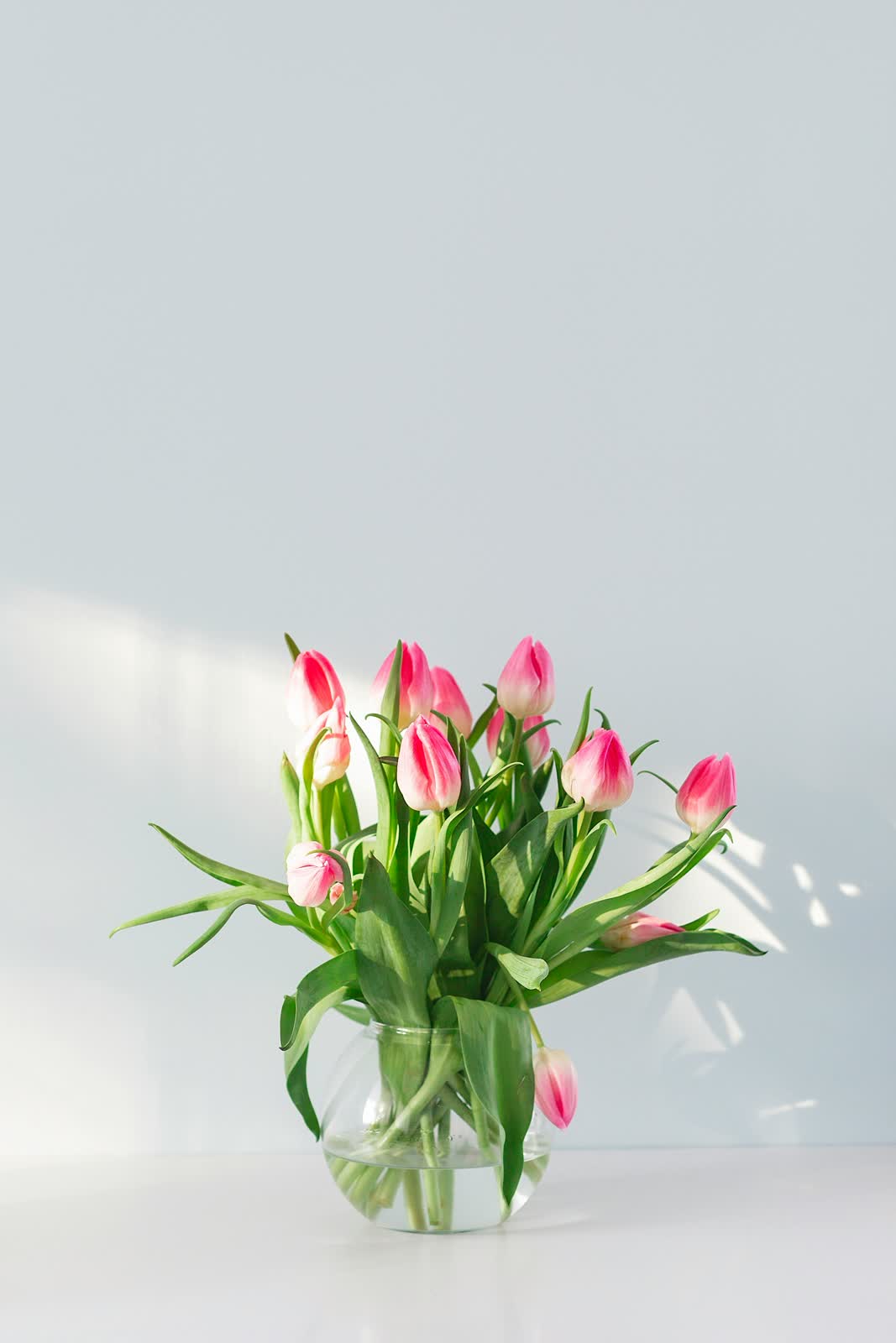 Tulips for sale at NYC Flower House, photographed in the shop.